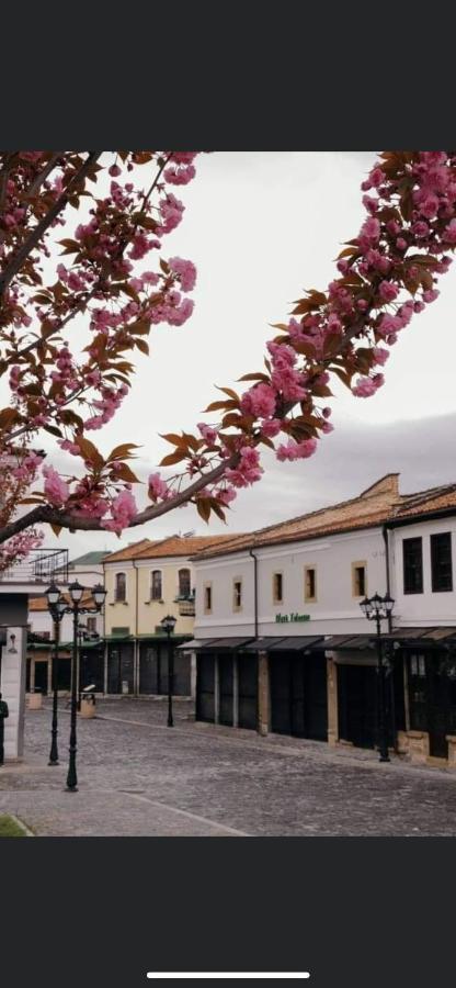 Tradicional Bazaar Villa Korce